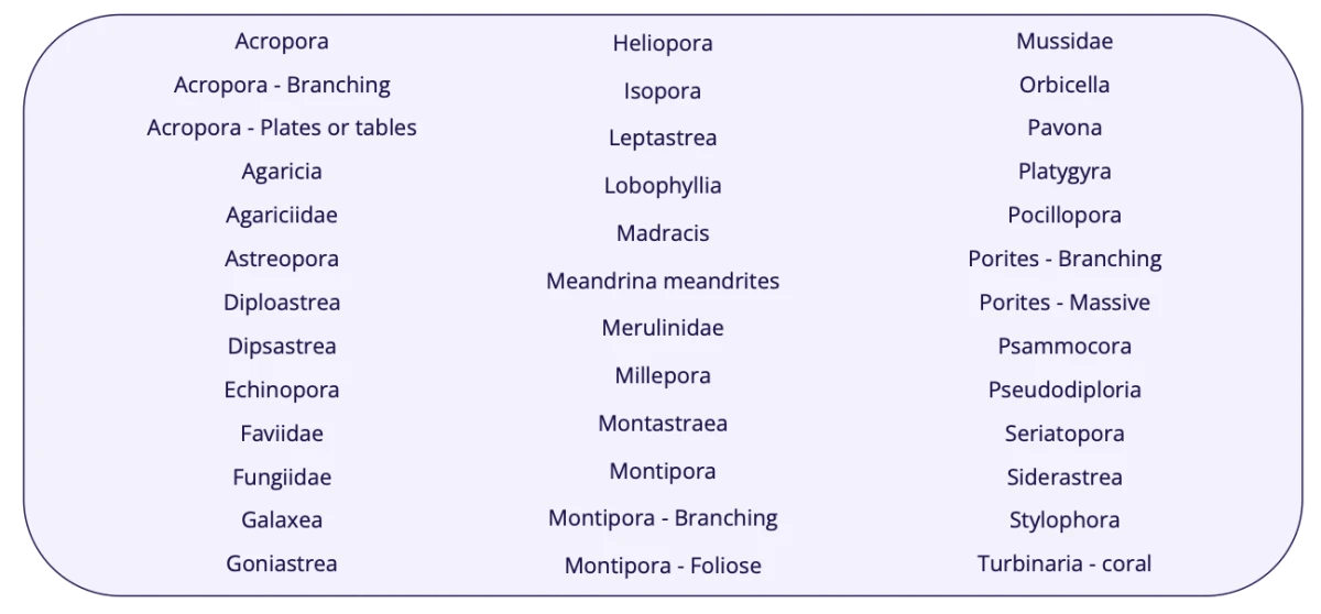 A picture of a list of the coral genera and growth forms currently used to train the image classification model presented in three columns.