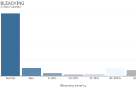 Bleaching Severity Explore Visualizations