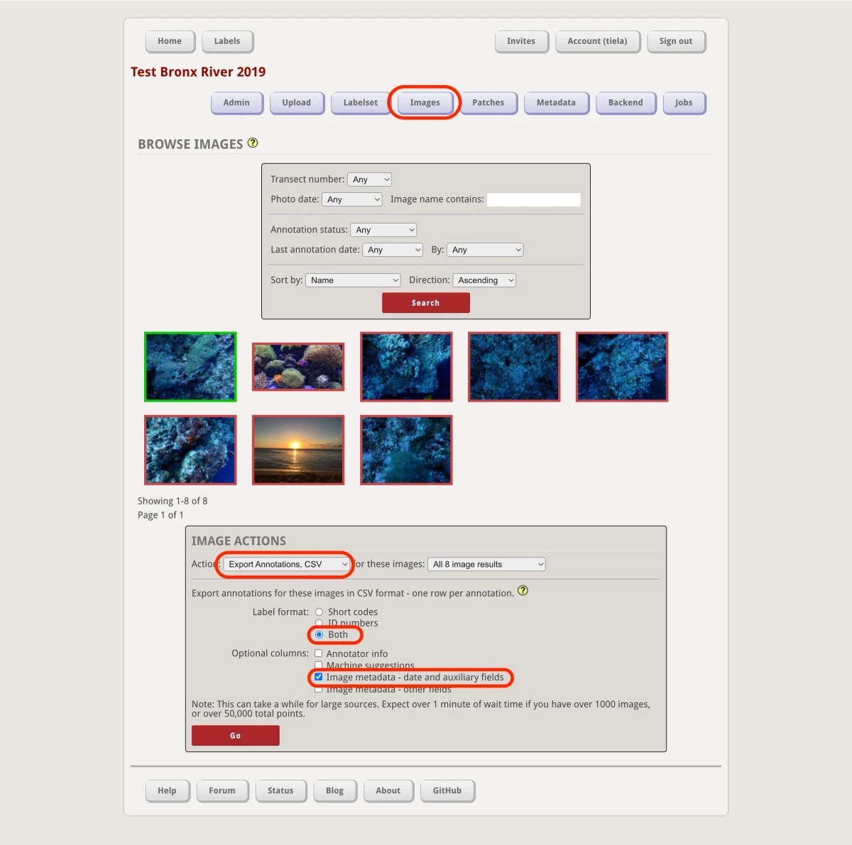 Screenshot showing how to export annotations in CoralNet as a CSV file including the short codes, ID numbers, and auxilliary fields.
