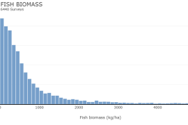 Fishbelt Explore Visualizations