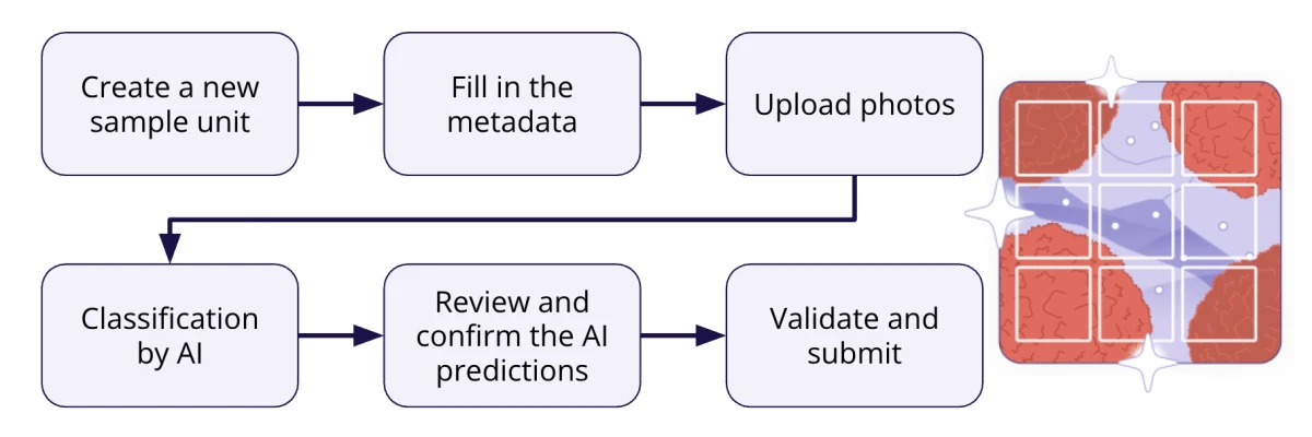 Flowchart depicting the process of AI-image classification in MERMAID from creating a new sample unit to submitting the data