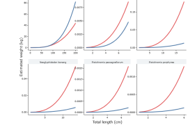 Fish Biomass Conversion Coefficients