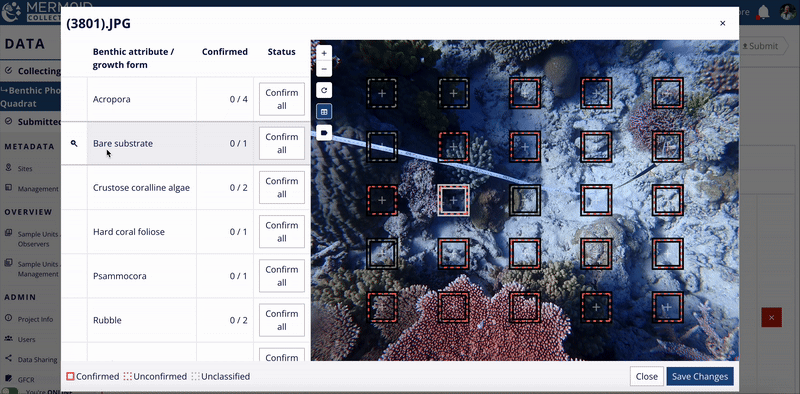 GIF file showing zooming into specific classified or unclassified points by clicking on the magnifying glass icon.
