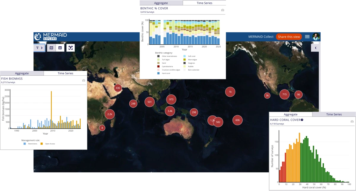 mermaid-explore-global-dashboard-reef-charts