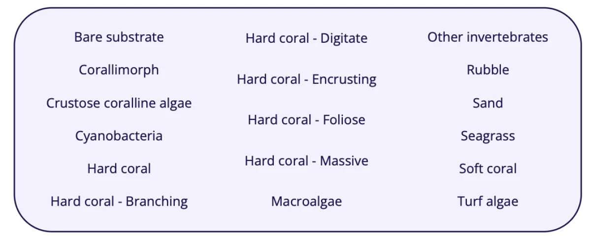 A picture of a list of the top-level benthic categories currently used to train the image classification model presented in three columns.