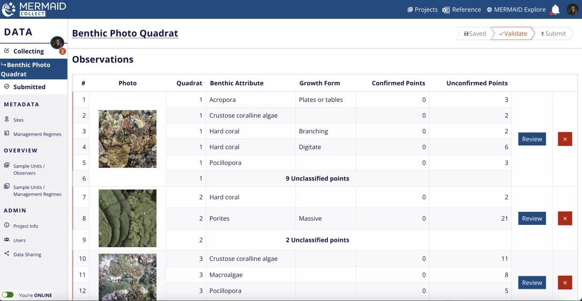 An image of the Observations table showing classified/unclassified point status for a photo.